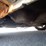2007-kia-rondo-ex-sport-utility-vehicle-knafg52667-image-66