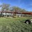 buhler-farm-king-16104-image-6