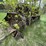#2878-•-allis-chalmers-tractor-shovel-(or)-image-28