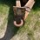 #2827-•-redi-haul-trailer-(has-wi-title)-(or)-image-5