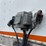 2003-great-dane-53-image-35