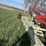 buhler-farm-king-16104-image-49