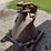 s-500-u-3-pt-spreader-image-3