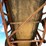 #1004-•-gravel-feeder-image-24