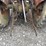 massey-ferguson-135-image-5