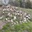#2824-•-piles-of-material-(g)-image-13