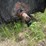 #2873-•-tar-kettle-on-trailer-(or)-image-15