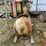 #2822-•-ingersoll-rand-air-compressor-(g)-image-2