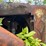 #2878-•-allis-chalmers-tractor-shovel-(or)-image-15