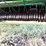 2001-john-deere-567-image-10