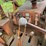 #2878-•-allis-chalmers-tractor-shovel-(or)-image-18