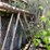 #2825-•-scaffolding-(or)-image-3