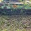 hyster-trailer-image-8