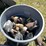 #2855-•-rubbermaid-garbage-can-(or)-image-7