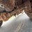 #24064-•-2007-ford-econoline-wagon-van-image-62