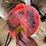 jiffy-auger,-ice-fishing-poles-etc-image-5