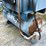 #2816-•-quincy-screw-air-compressor-(g)-image-10