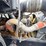 2004-ford-f650-image-30
