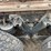 1999-kenworth-t600-image-34