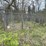 #2867-•-wire-dog-kennel-(or)-image-6