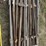 60x-5ft.-t-posts-image-1