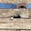 2008-trail-eze-lowboy-image-16