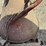 s-500-u-3-pt-spreader-image-10