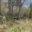 #2831-•-scrap-iron-pile-(or)-image-7