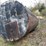 #2804-•-metal-fuel-tank-(g)-image-4