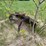 #2877-•-skid-steer-bucket-(or)-image-5
