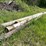#2870-•-(4)-wood-utility-poles-(or)-image-1