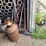 #2890-•-vintage-metal-fuel-can-(or)-image-6
