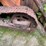 #2878-•-allis-chalmers-tractor-shovel-(or)-image-9