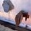 #1205-•-1996-raven-end-dump-trailer-(has-mn-title)-image-9