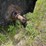 #2873-•-tar-kettle-on-trailer-(or)-image-14