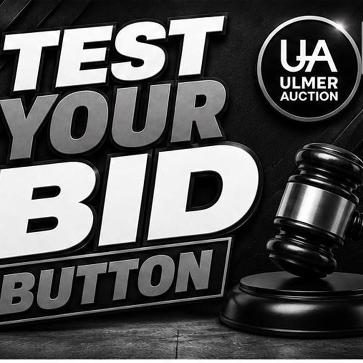 TEST YOUR BID BUTTON