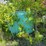 #2826-•-1500-gallon-plastic-tank-(or)-image-15