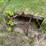 #2877-•-skid-steer-bucket-(or)-image-6