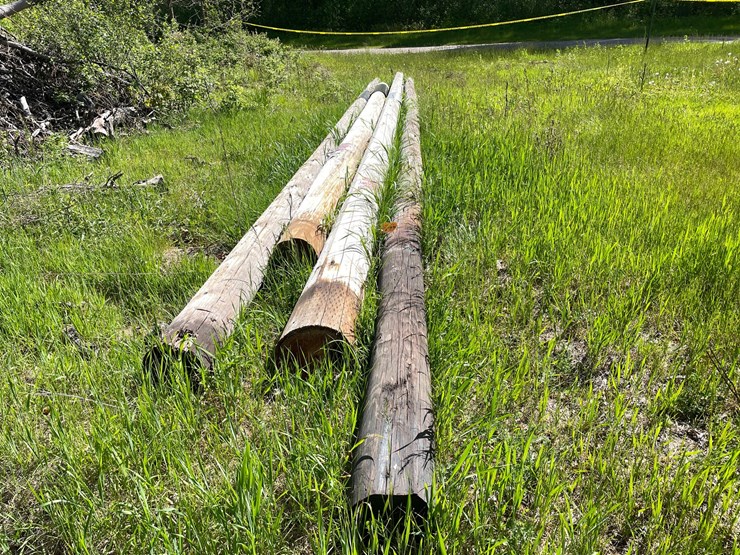 #2870-•-(4)-wood-utility-poles-(or)-image-2
