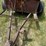 #2873-•-tar-kettle-on-trailer-(or)-image-11
