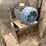 #2817-•-spencer-blower-(g)-image-7