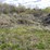 #2824-•-piles-of-material-(g)-image-5