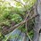 #2825-•-scaffolding-(or)-image-7