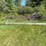 #2870-•-(4)-wood-utility-poles-(or)-image-4