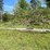 #2870-•-(4)-wood-utility-poles-(or)-image-5