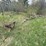 #2868-•-small-boat-trailer-(or)-image-1
