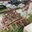 24ft-harrow-off-case-496-disk-image-2