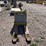 hyster-w40z-image-4