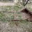 #2805-•-universal-skid-steer-bucket-(g)-image-3