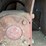 mayrath-10x62-image-4